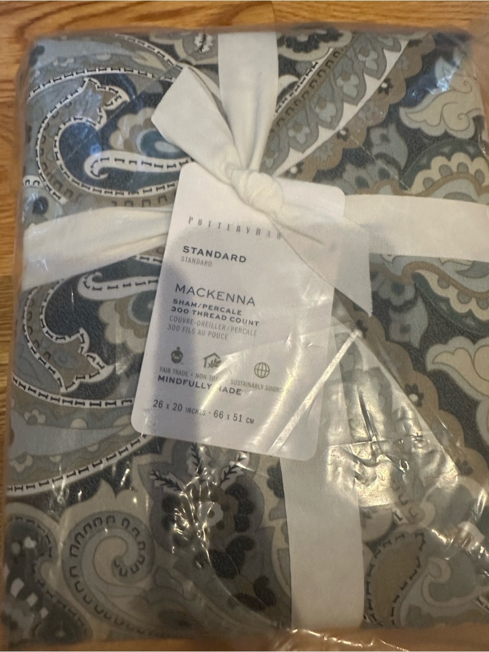 Pottery Barn McKenna Blue Paisley Standard Sham Organic Cotton